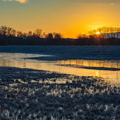 Sunrise over a frosty lakeside